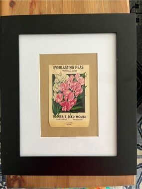 Framed Vintage Seed Packet Art - Pink & Cream Everlasting Peas